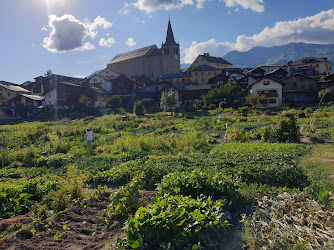 Self service vegtable Garden