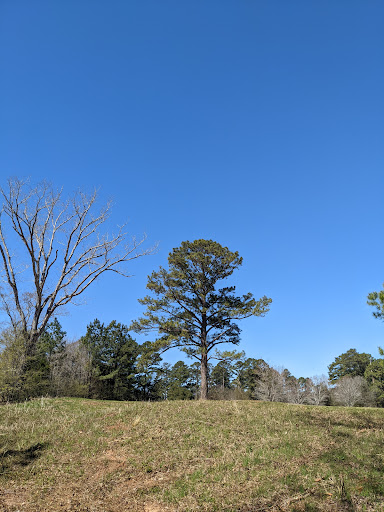 Arboretum «The University of Alabama Arboretum», reviews and photos, 4801 Arboretum Way, Tuscaloosa, AL 35404, USA