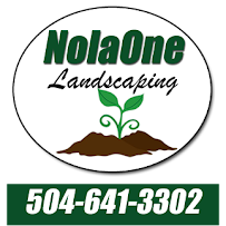 NolaOne Landscaping Company - Photo 2 - Car repair in , Metairie