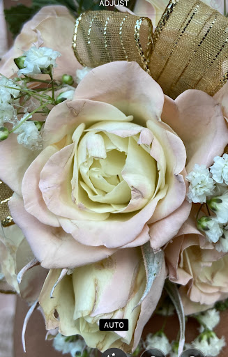 Florist «Fairfield Flowers», reviews and photos, 5194 Fairfield Shopping Centre, Virginia Beach, VA 23464, USA