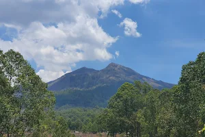 Warung Bu Mina image