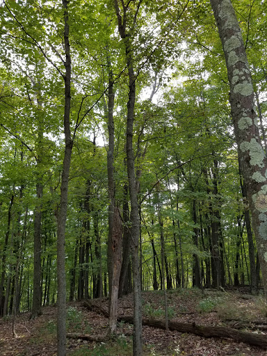 Episcopal Church «Holy Cross Monastery», reviews and photos, 1615 US-9W, Hyde Park, NY 12538, USA