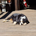 Photo n°9 de l'avis de Nadia.r fait le 07/08/2023 à 20:59 sur le  La Tana Di Perolo Stefano E C. Snc à Bielmonte