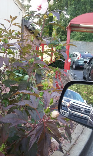 Fast Food Restaurant «Chick-fil-A», reviews and photos, 1065 Cleveland Ave, East Point, GA 30344, USA