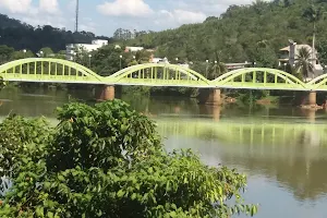 Pomba River image