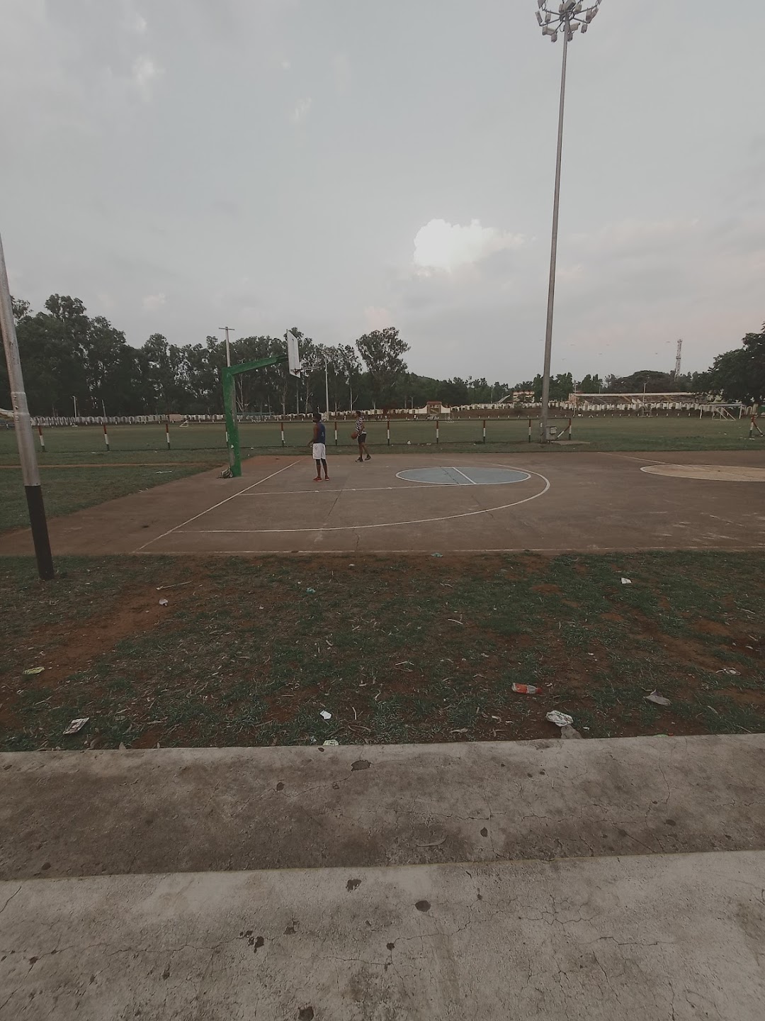 HAL FIELD