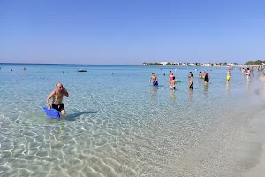 Spiaggia le Dune di Punta Prosciutto image