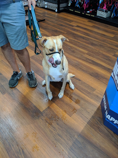 Pet Supply Store «Pet Valu», reviews and photos, 1611 Boston Post Rd, Milford, CT 06460, USA