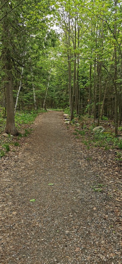 Sage hiking trail