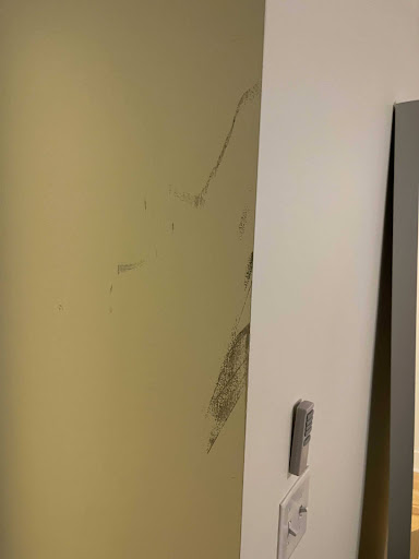 Moving Company «College Hunks Hauling Junk and Moving», reviews and photos, 443 McNally Dr, Nashville, TN 37211, USA