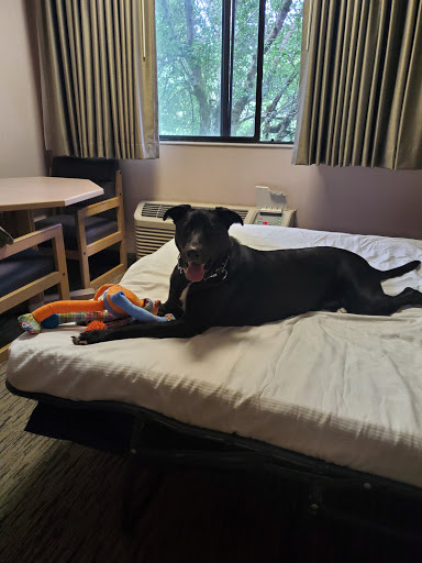 Hotel «Shilo Inn Hotel», reviews and photos, 1609 E Harbor St, Warrenton, OR 97146, USA