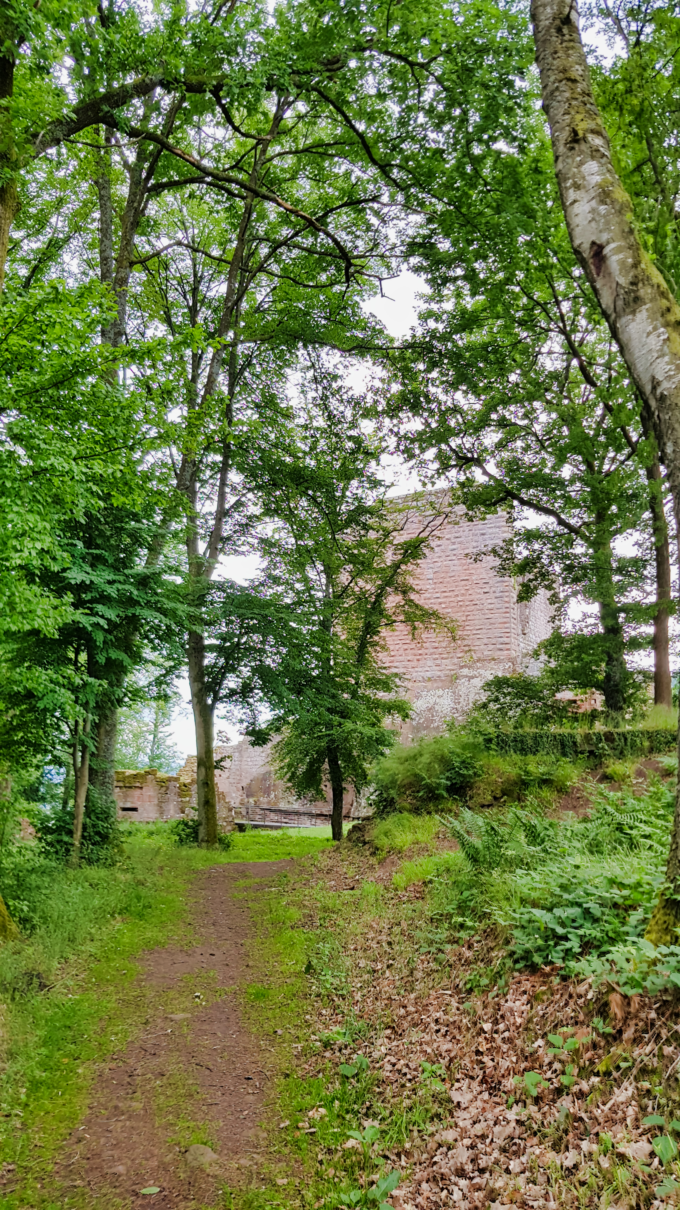 Photo n° 13 de l'avis de Sven.a fait le 15/06/2019 à 16:45