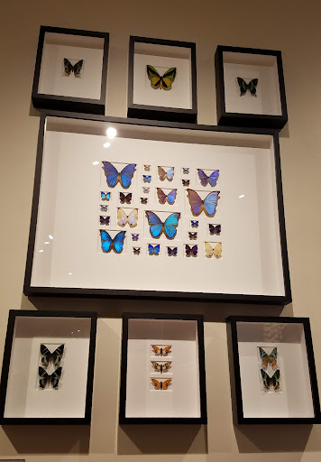 Jeweler «TWIST», reviews and photos, 30 NW 23rd Pl, Portland, OR 97210, USA