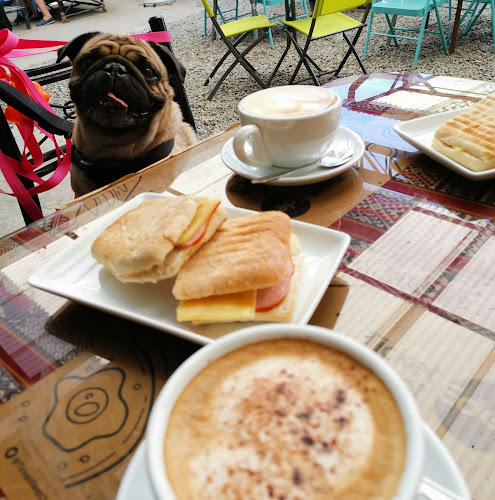 KFE dog friendly coffeeshop - Cafetería