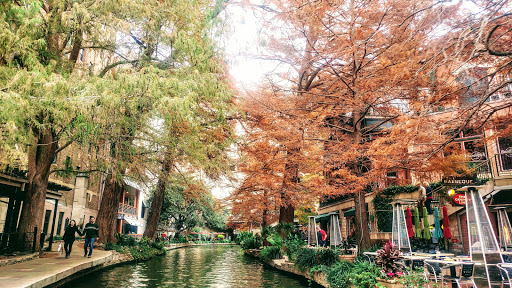 Skateboard Park «Texas Ski Ranch», reviews and photos, 6700 I-35, New Braunfels, TX 78130, USA