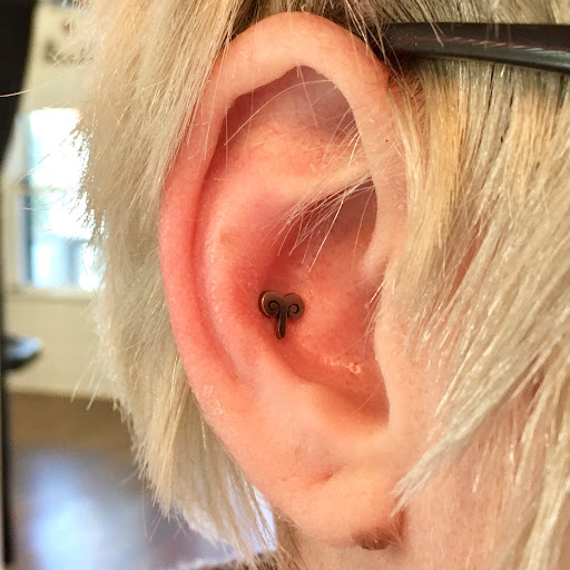 Explore tattoo ideas for 3 friends, creative tattoo ideas in Redding, available at Velvet Orange Bodycraft