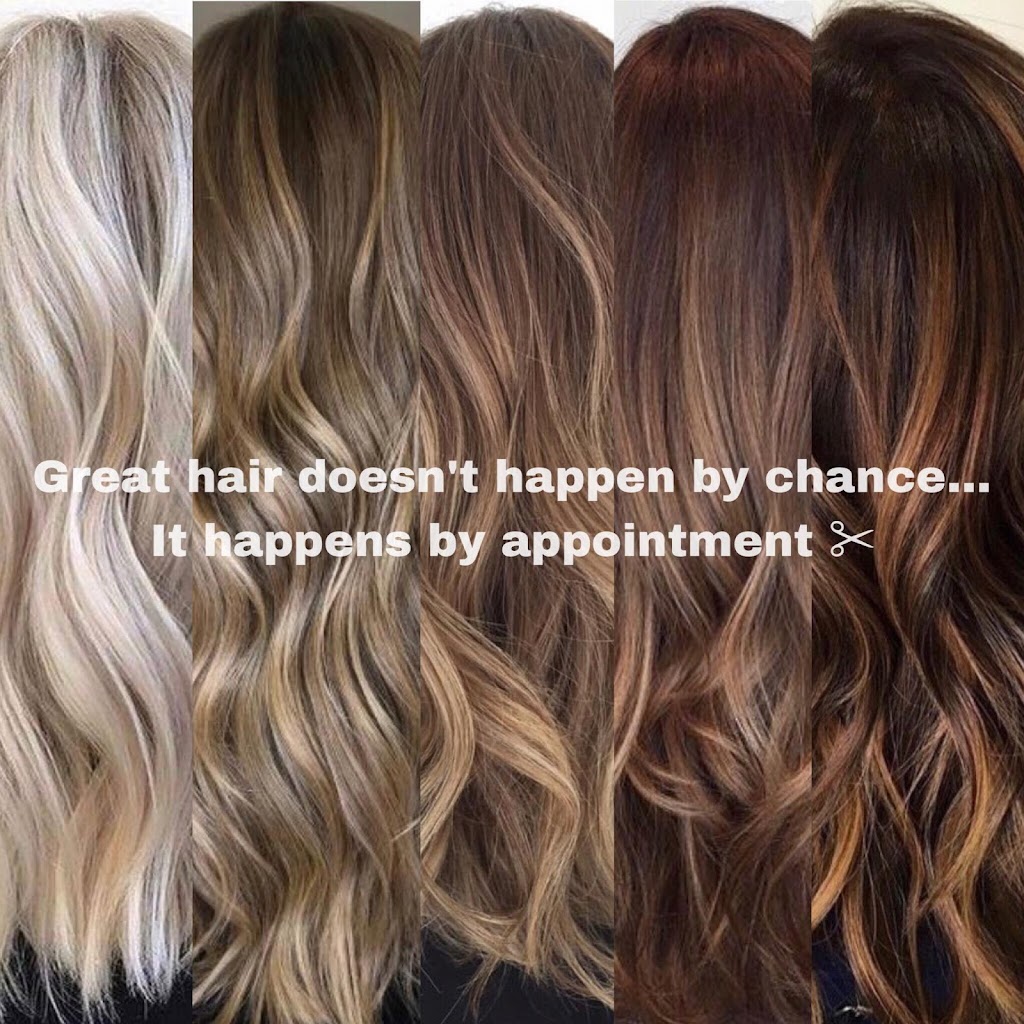 Elevate Hair Studio Inc. 34996