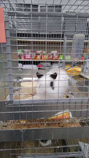 Animal Feed Store «IFA Country Stores», reviews and photos, 1071 Pioneer Rd, Draper, UT 84020, USA