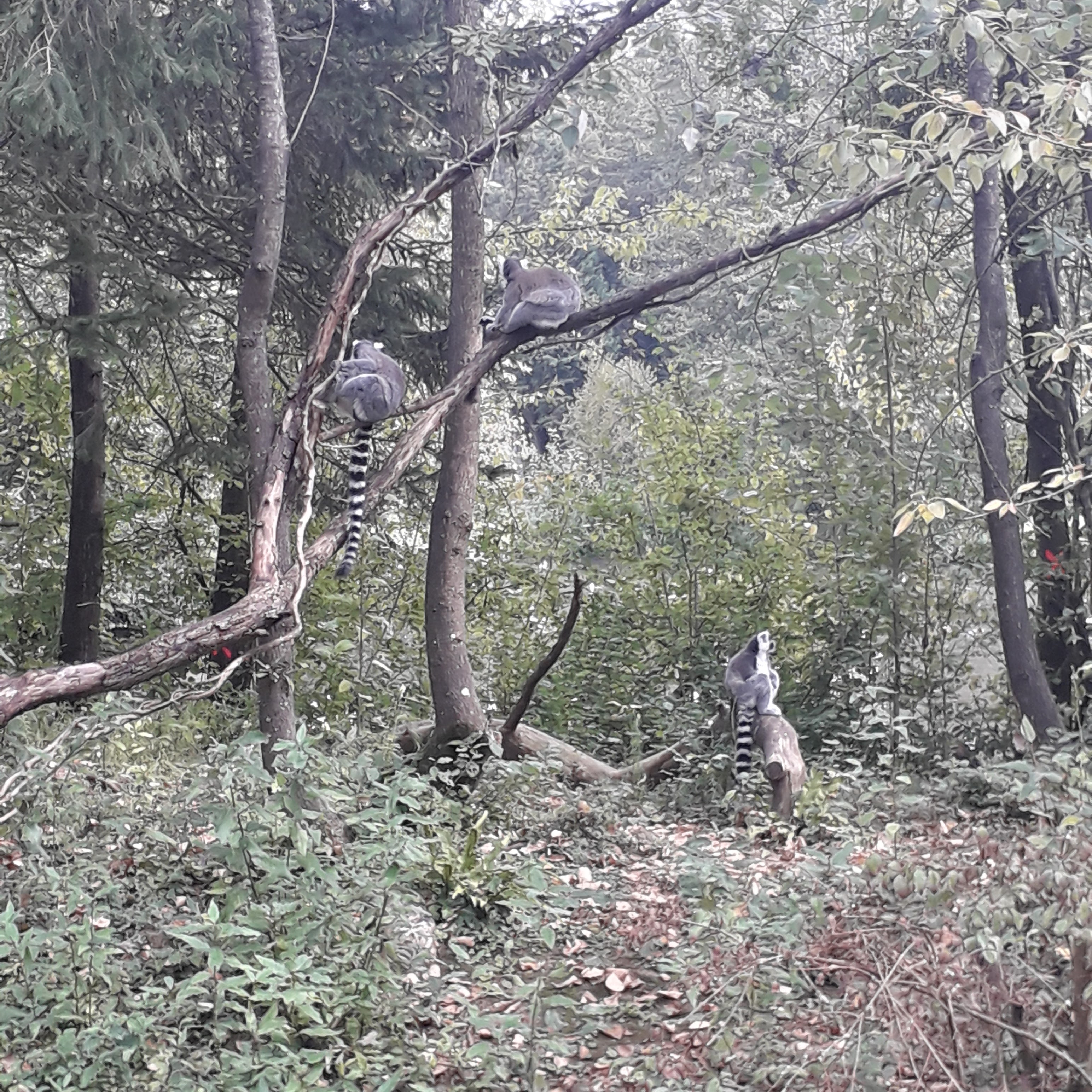 Photo n° 22 de l'avis de lilou.i fait le 19/09/2020 à 16:48