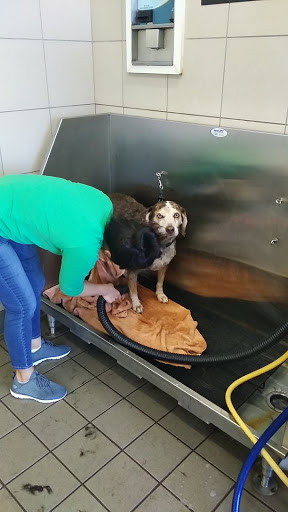 Pet Supply Store «Pet Supplies Plus», reviews and photos, 7204 Dempster St, Morton Grove, IL 60053, USA