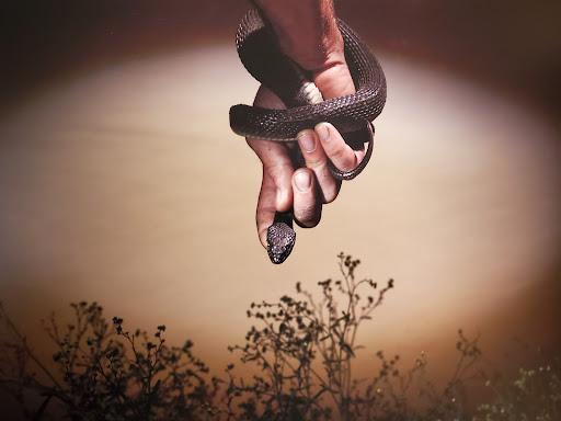 Art Museum «The Florida Museum of Photographic Arts», reviews and photos, 400 N Ashley Dr, Tampa, FL 33602, USA