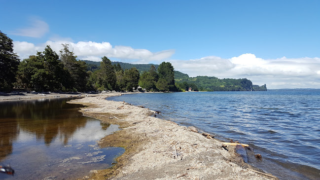 Camping Playa Puyehue - Río Bueno