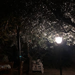 Photo n°4 de l'avis de Martina.' fait le 05/09/2023 à 12:37 sur le  L'Orto Del Casale - à Casal Thaulero