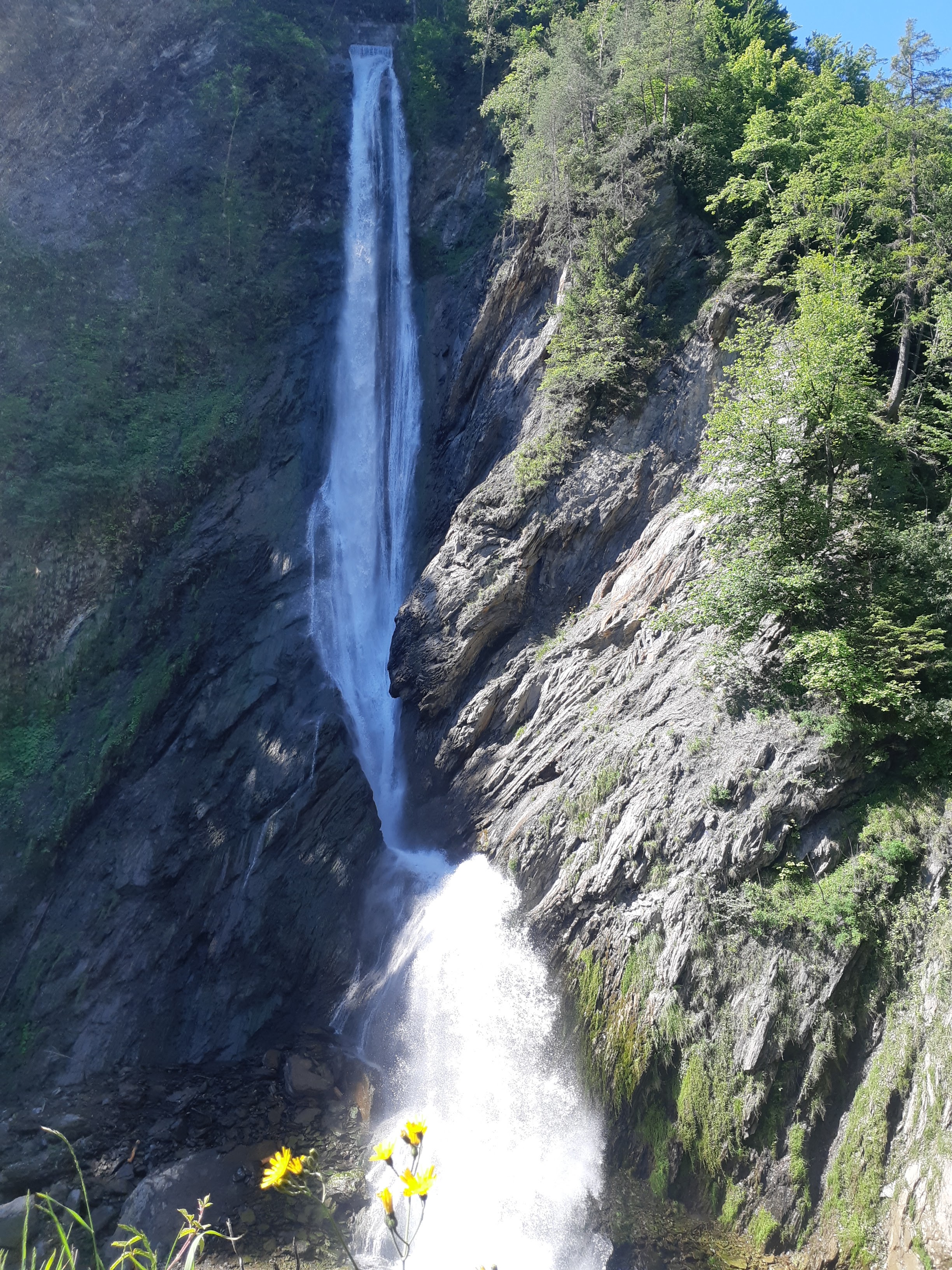 Photo n° 2 de l'avis de Christophe.o fait le 12/06/2022 à 04:07