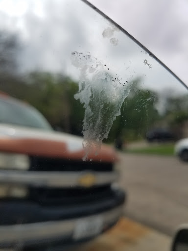 Car Wash «Hallmark Car Wash», reviews and photos, 3412 Garth Rd #1, Baytown, TX 77521, USA