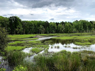 Beaver Marsh Nature Preserve