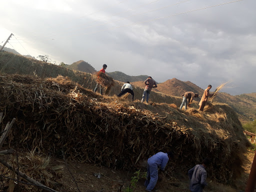 Boutique «Love Boutique», reviews and photos, 955 W Taft Vineland Rd, Orlando, FL 32824, USA