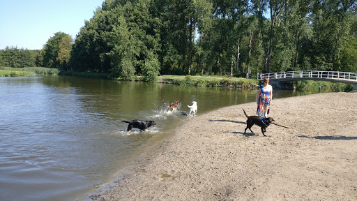 Hondenstrand Lage Bergse Bos