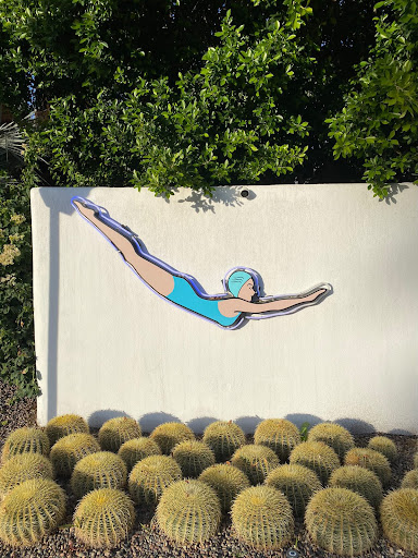 Dive Palm Springs image