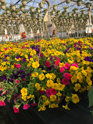 Garden Center «Gro-Rite Garden Center & Florist», reviews and photos, 30 Hillview Rd, Lincoln Park, NJ 07035, USA