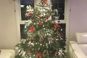 Chesham Christmas Trees image