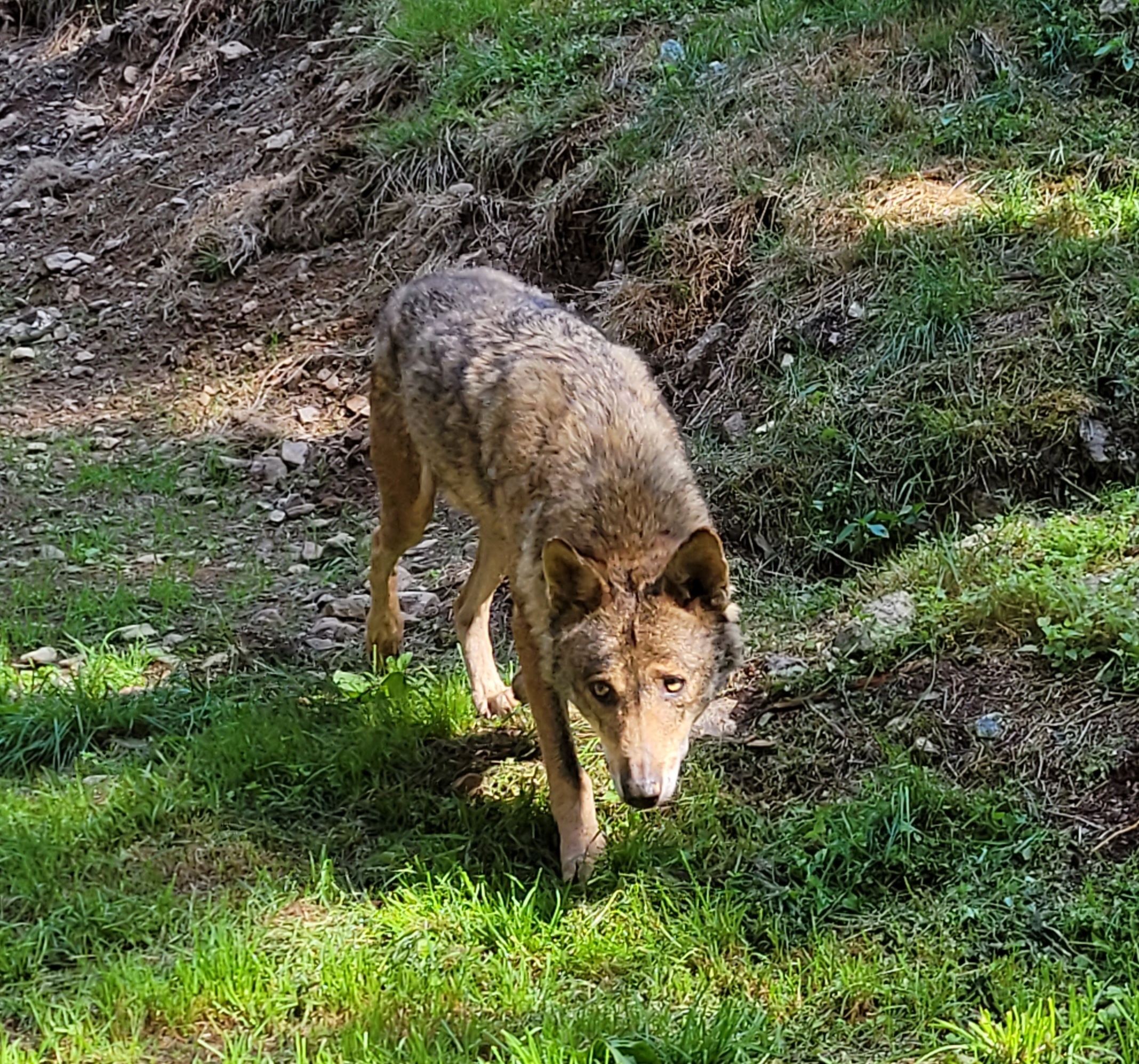 Photo n° 2 de l'avis de Charles.e fait le 02/08/2022 à 12:13