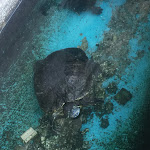 Photo n°3 de l'avis de Familie.a fait le 30/05/2018 à 08:38 sur le  Gasthof Wöhrmaurer à Giovignano