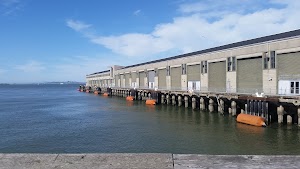 Pier 35 - photo 2
