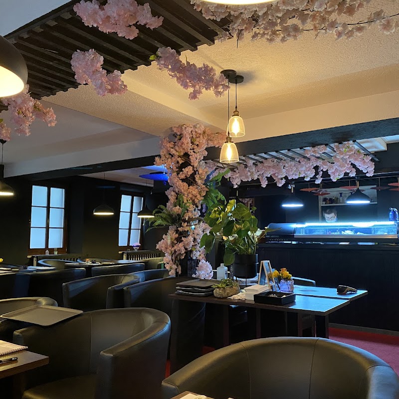 Osaka Sushi-Lounge