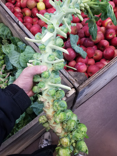 Supermarket «Best Market Massapequa», reviews and photos, 5601 Merrick Rd, Massapequa, NY 11758, USA