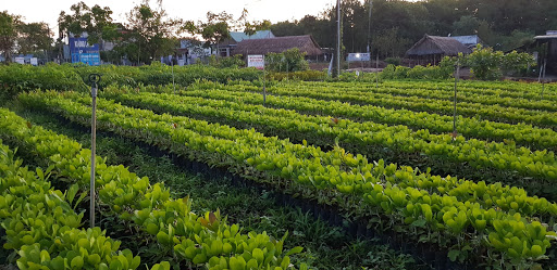 Top 20 cửa hàng online Huyện Phú Riềng Bình Phước 2022