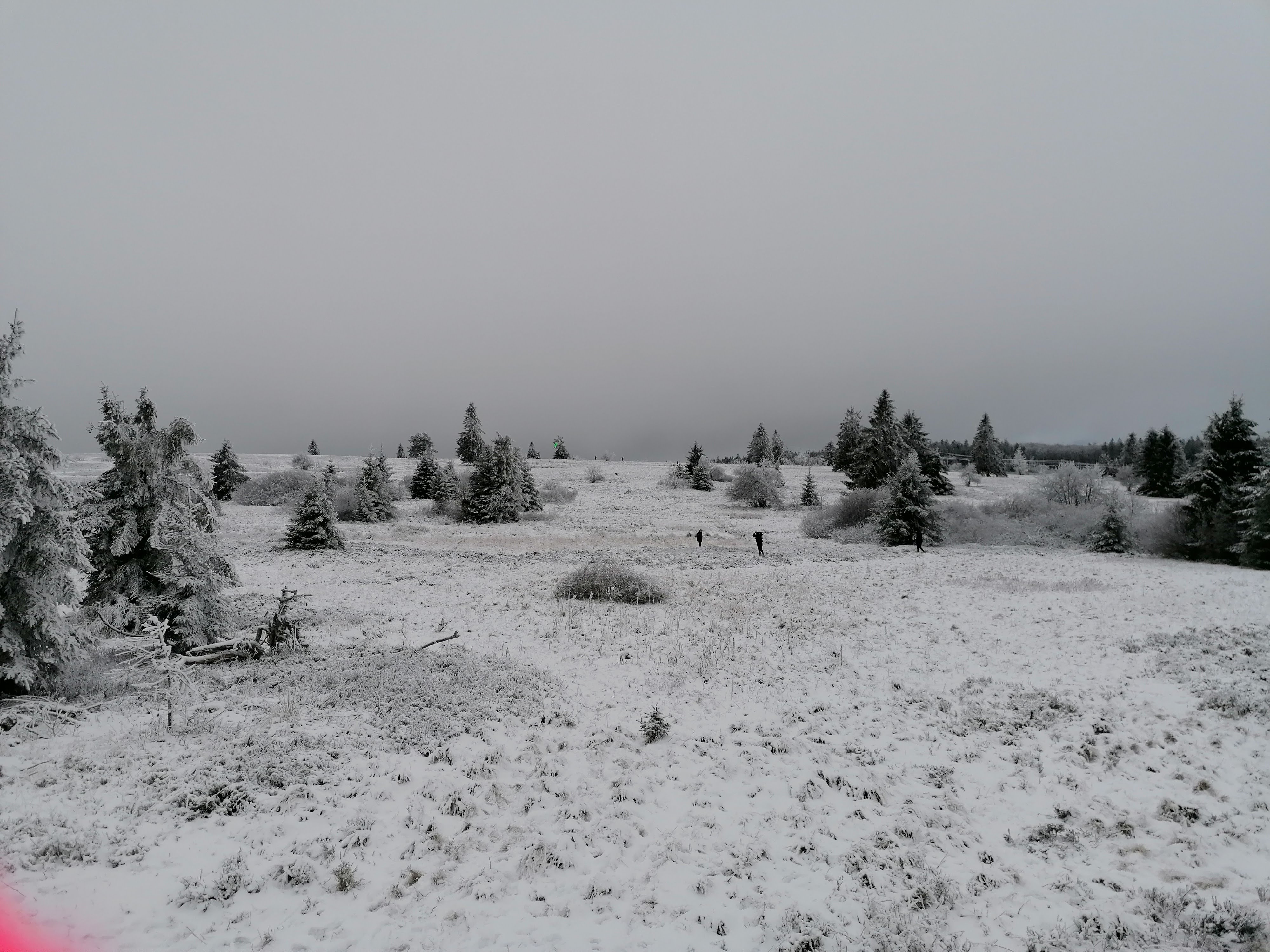 Photo n° 12 de l'avis de sumrak78. fait le 30/12/2020 à 15:39