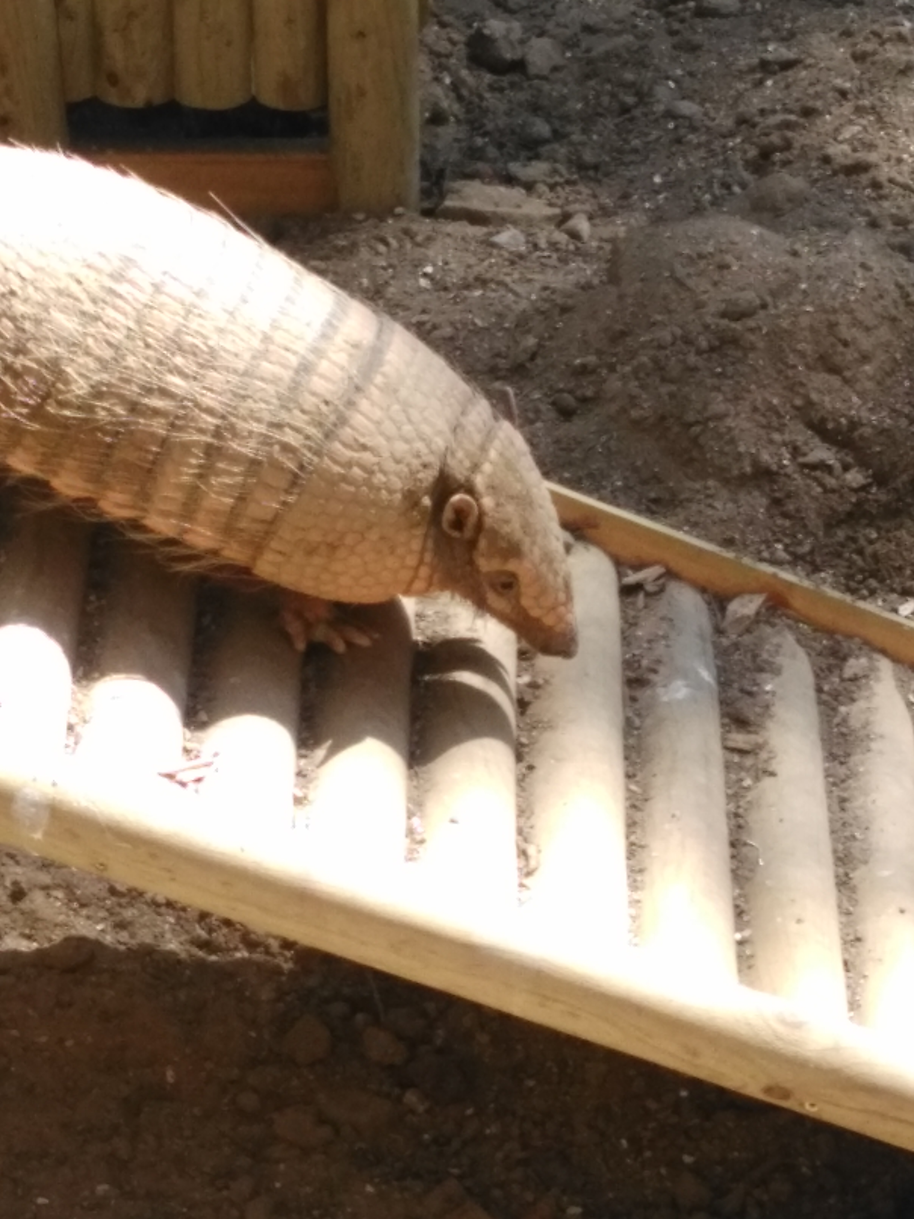 Photo n° 1 de l'avis de Alain.o fait le 26/06/2017 à 12:31