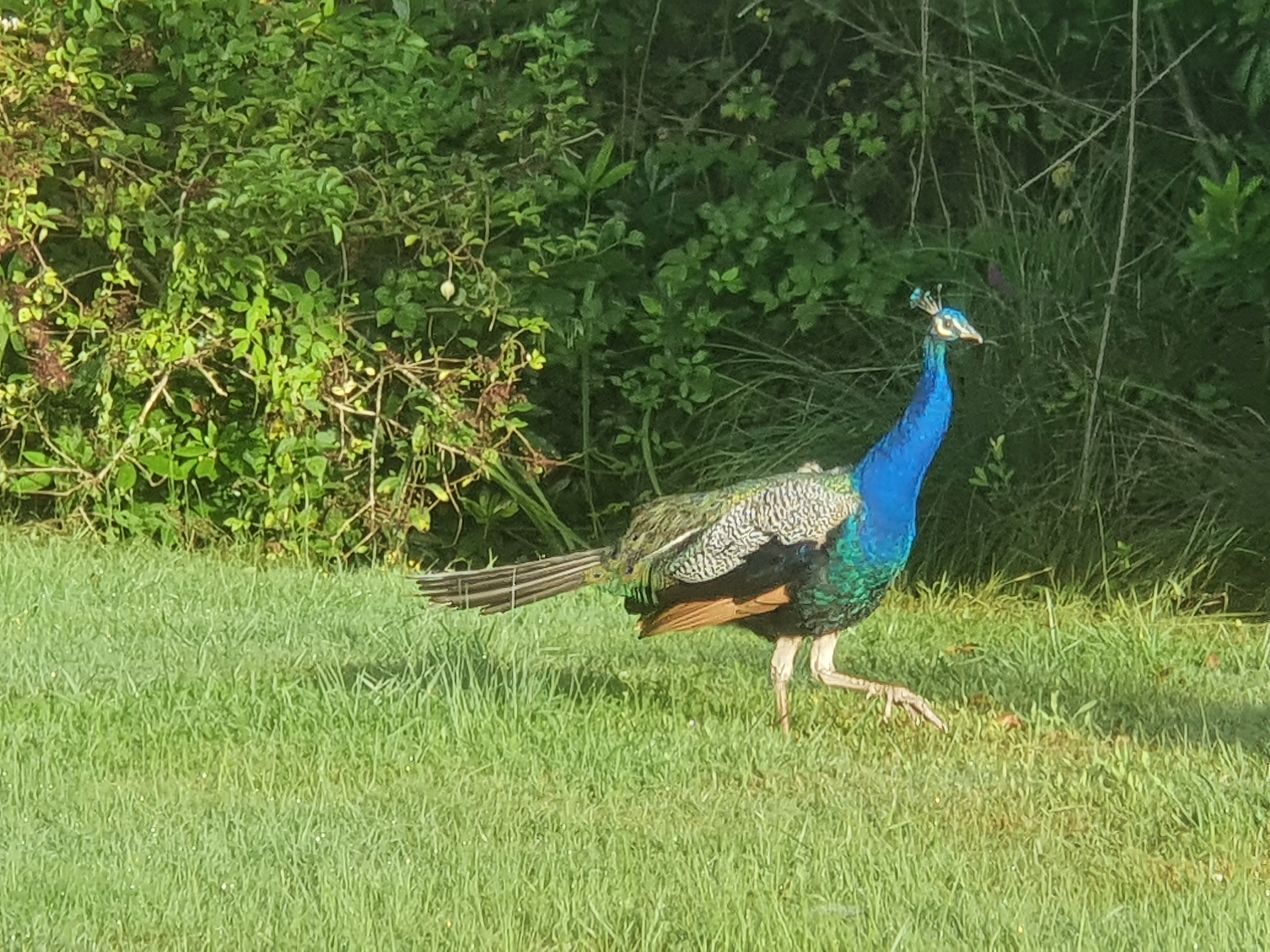 Photo n° 1 de l'avis de Françoise.I fait le 12/08/2021 à 16:46