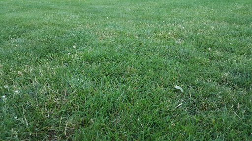 Park «Sewallcrest Park», reviews and photos, SE 31st Ave & Market St, Portland, OR 97214, USA