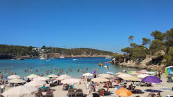 Photo de Plage de Portinatx - endroit populaire parmi les connaisseurs de la détente