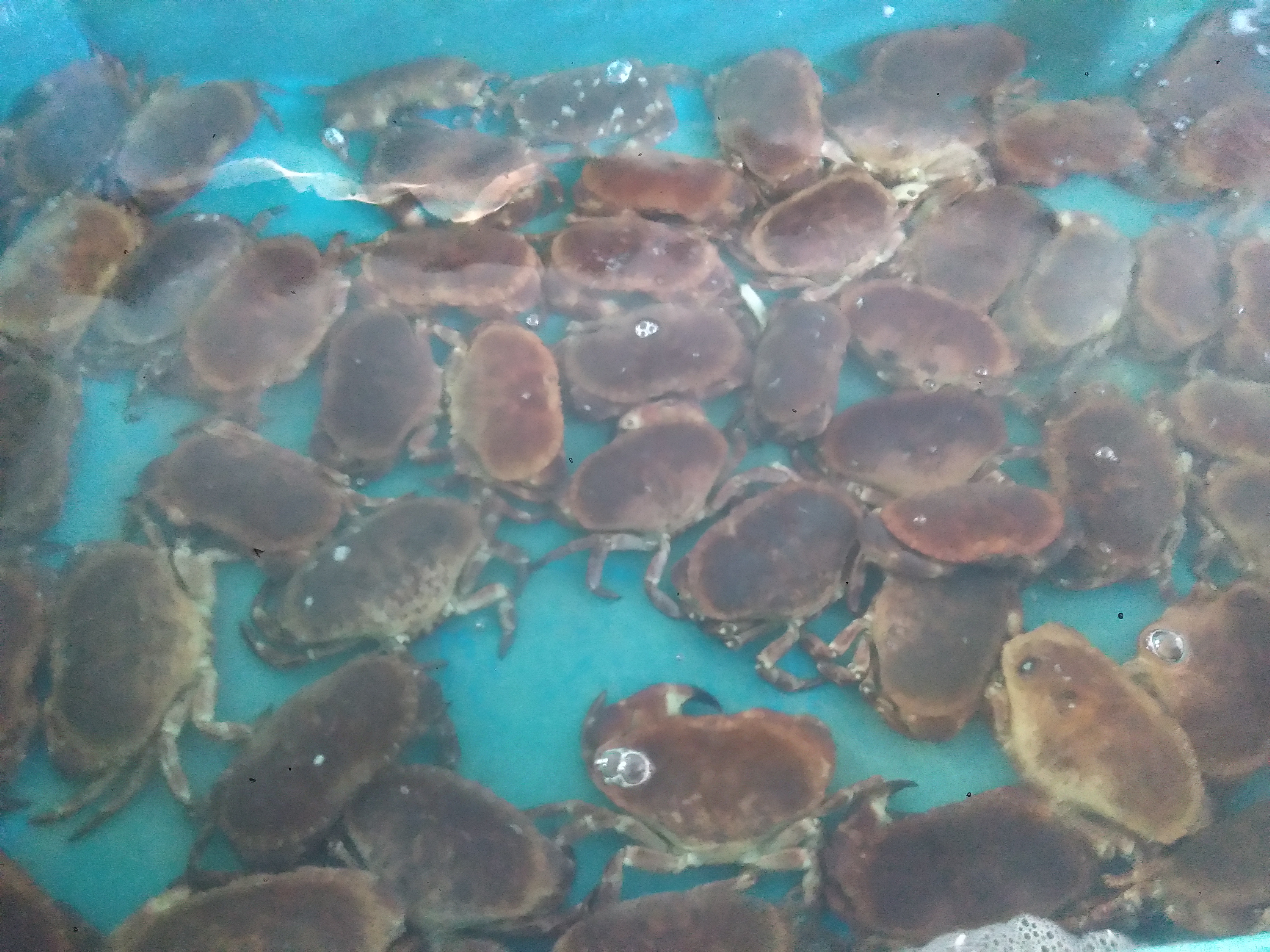 Photo n° 3 de l'avis de Laetitia.a fait le 31/08/2018 à 07:01