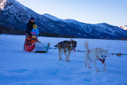 Wiseman Kennel Dog Sled Tours