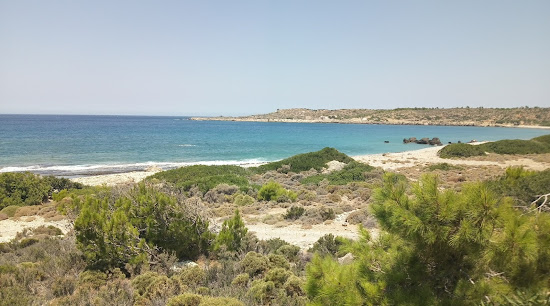 Spout beach