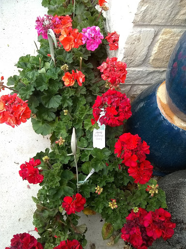 Hardware Store «Westlake Ace Hardware 109», reviews and photos, 550 US-175 Frontage Rd #108, Seagoville, TX 75159, USA